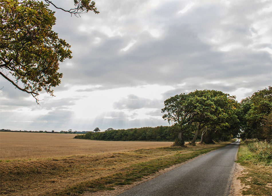 A great cycle route through flat lanes and rolling countryside